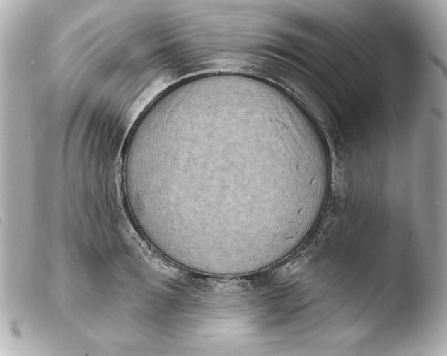 X0000103930899200810031256
