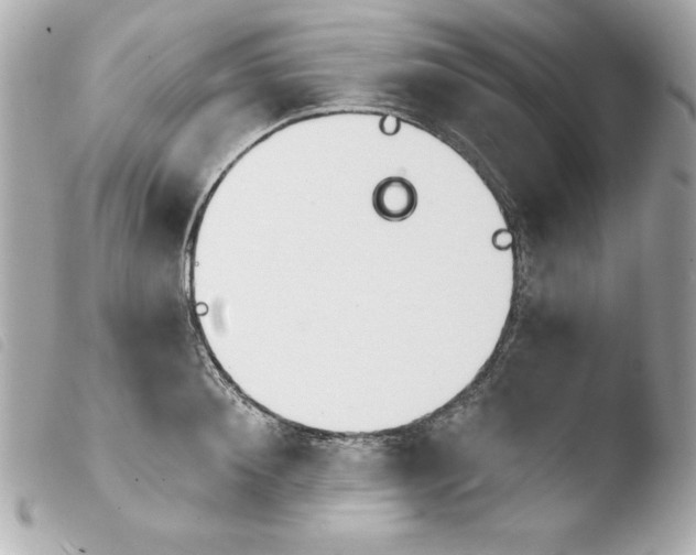 X0000103930900200810031256