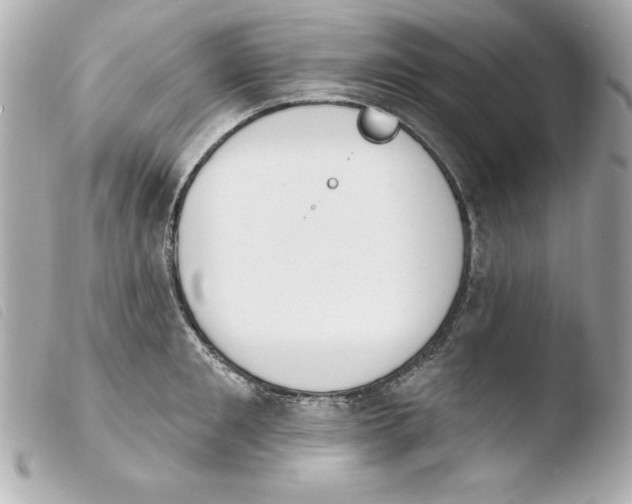 X0000103930901200810031256