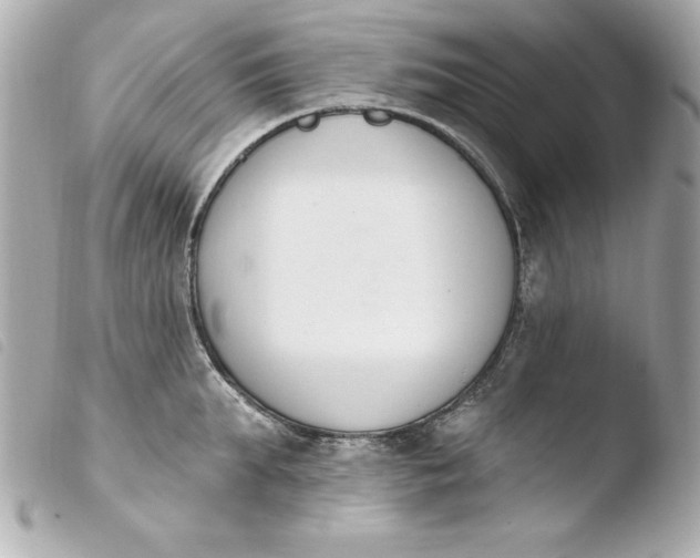 X0000103930903200810031256