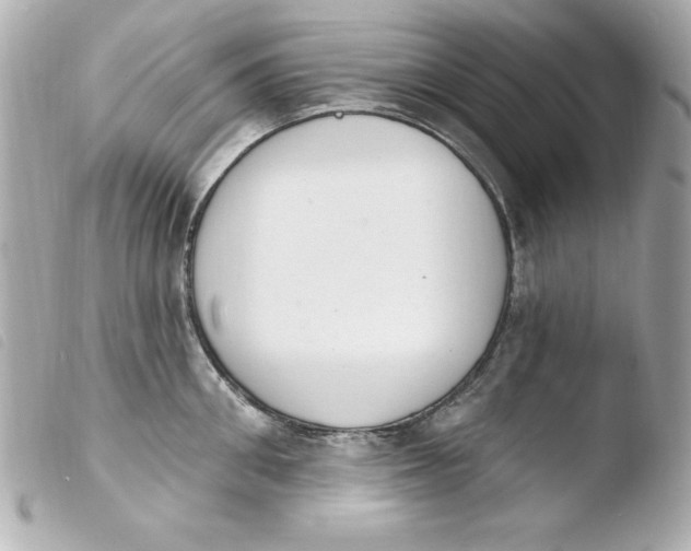 X0000103930906200810031256