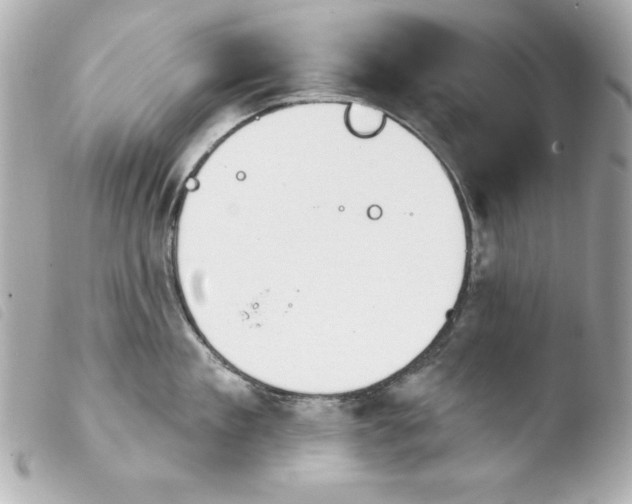 X0000103930909200810031256