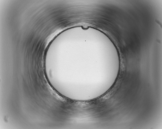 X0000103930910200810031256