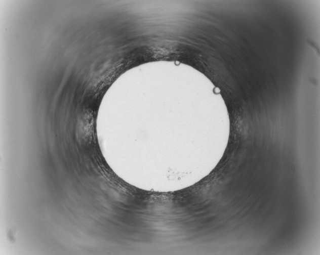 X0000103930914200810031255