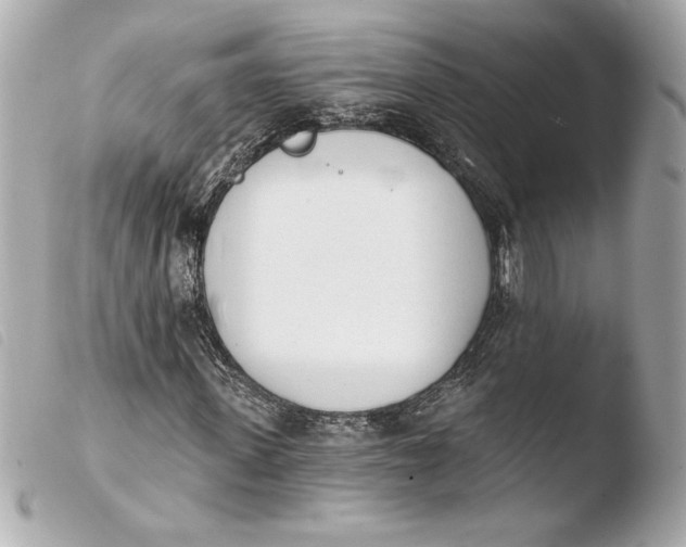 X0000103930915200810031255