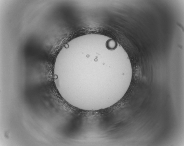X0000103930916200810031255