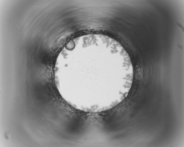 X0000103930918200810031255