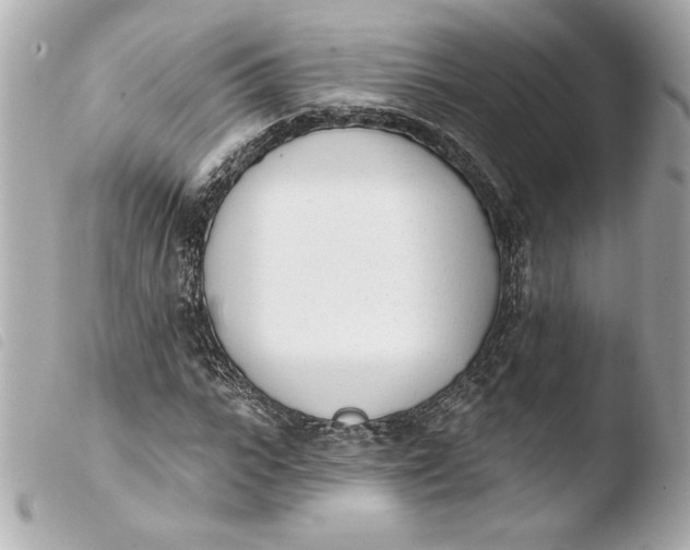 X0000103930919200810031255