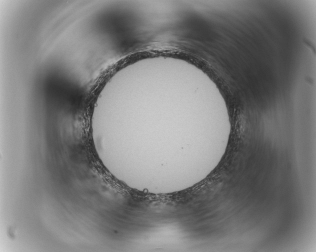 X0000103930920200810031255