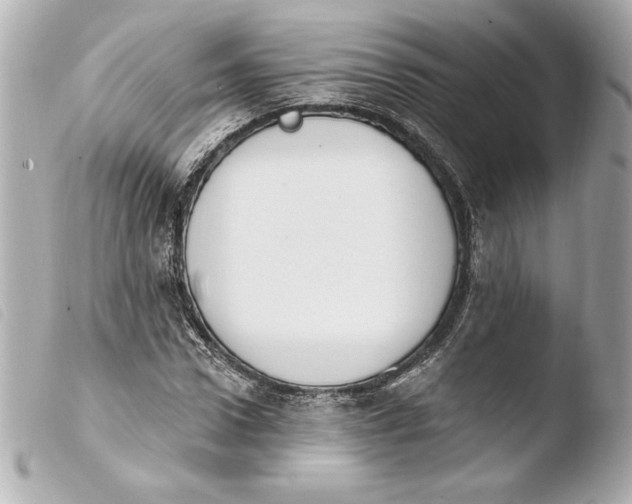 X0000103930922200810031255