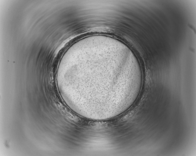 X0000103930923200810031255