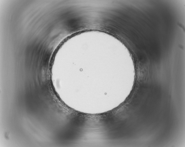 X0000103930924200810031255