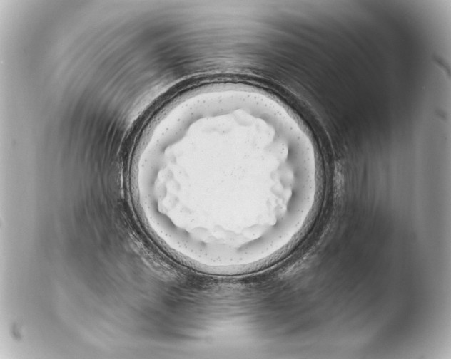 X0000103930925200810031255
