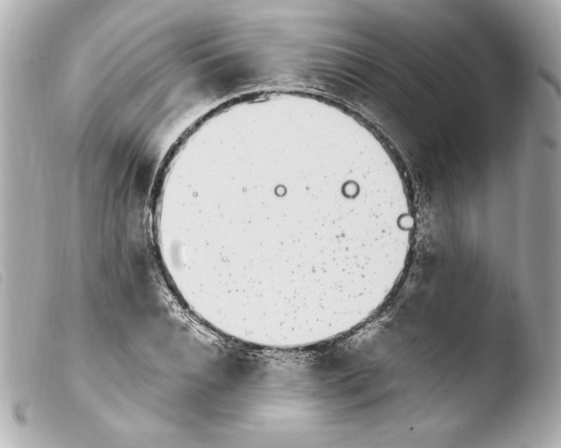 X0000103930928200810031255