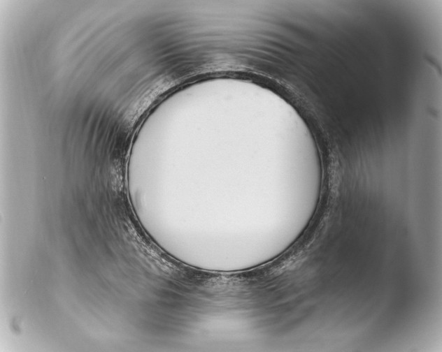 X0000103930929200810031255