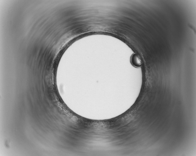 X0000103930931200810031255