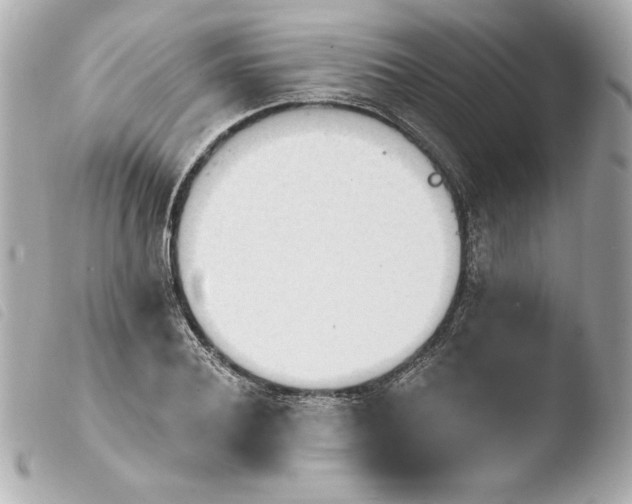X0000103930932200810031255