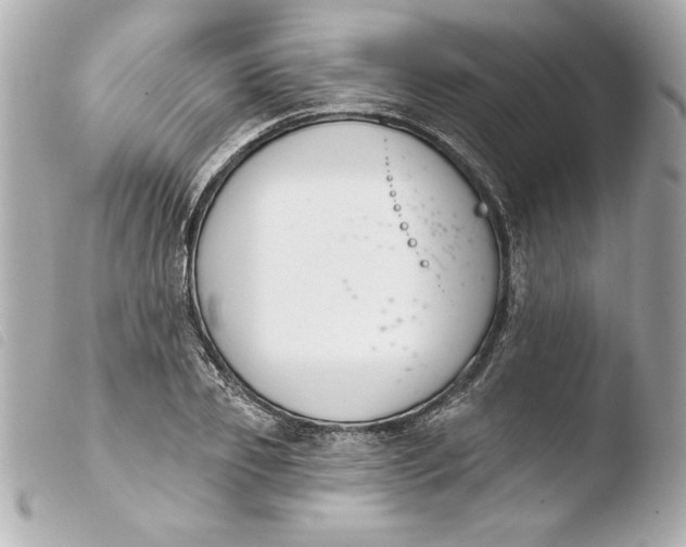 X0000103930933200810031255