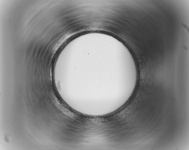 X0000103930934200810031255