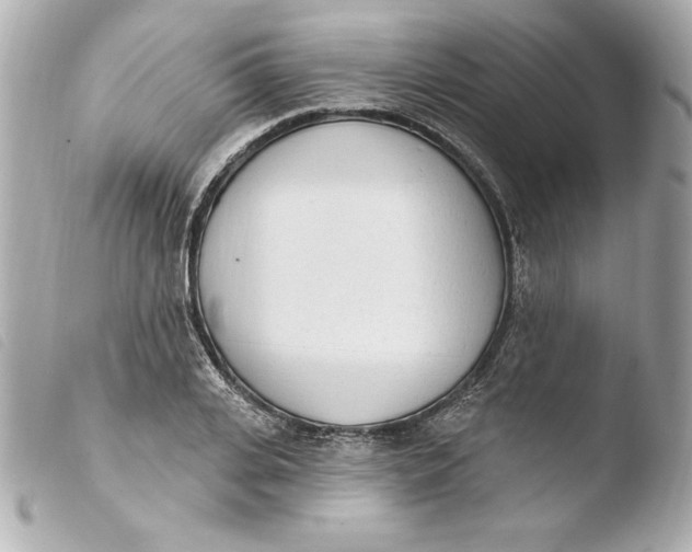 X0000103930935200810031256
