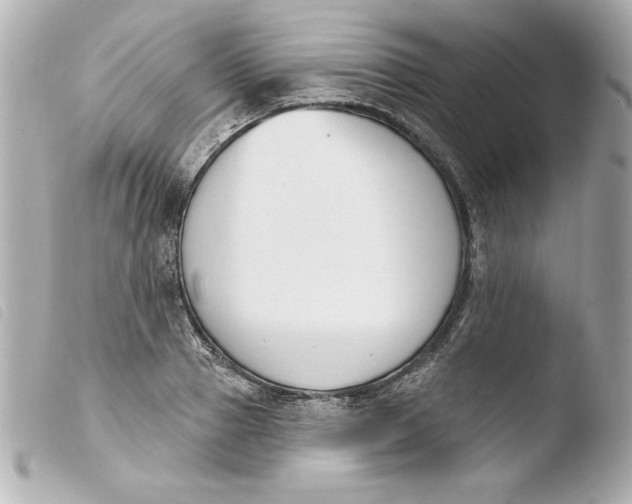 X0000103930937200810031256