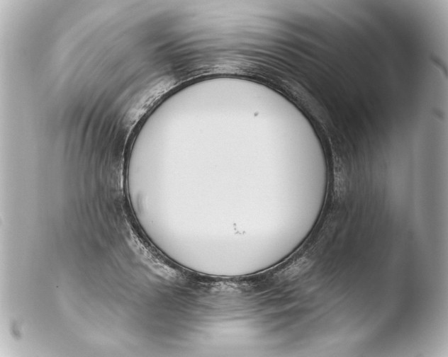 X0000103930938200810031256