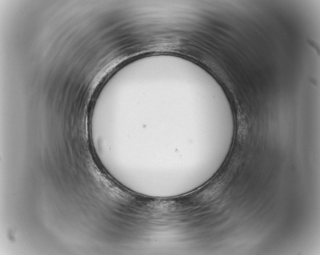 X0000103930939200810031256