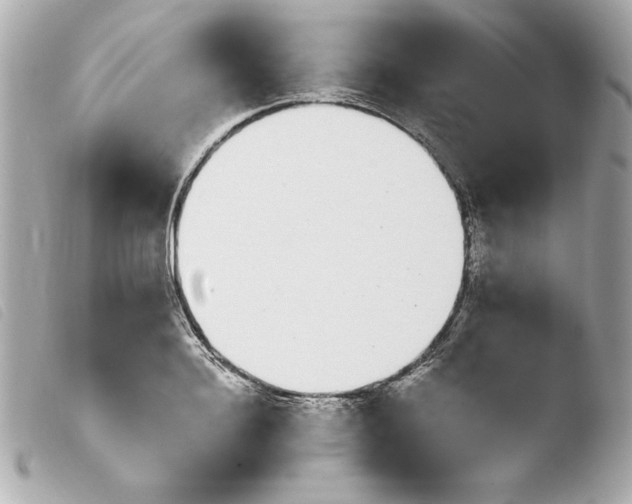 X0000103930940200810031256