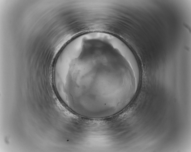 X0000103930941200810031256