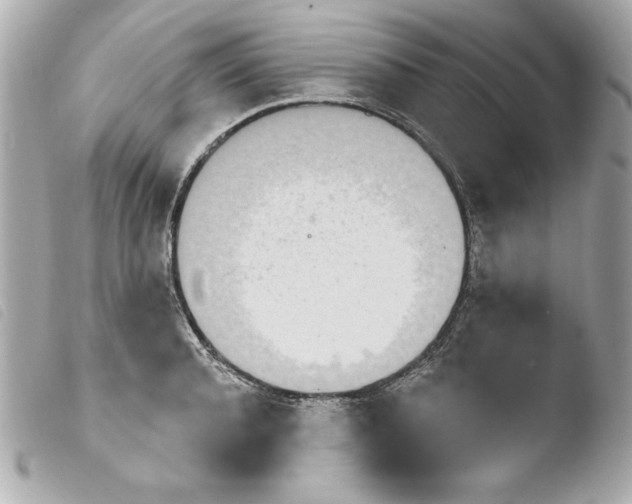 X0000103930944200810031256