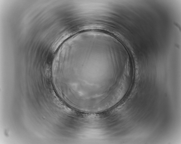 X0000103930945200810031256