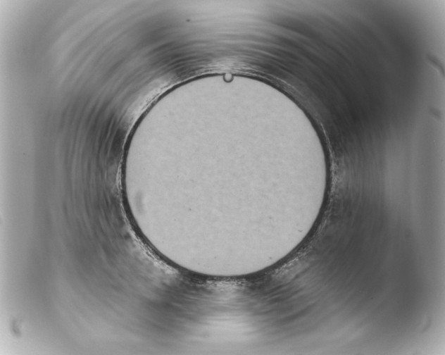 X0000103930946200810031256