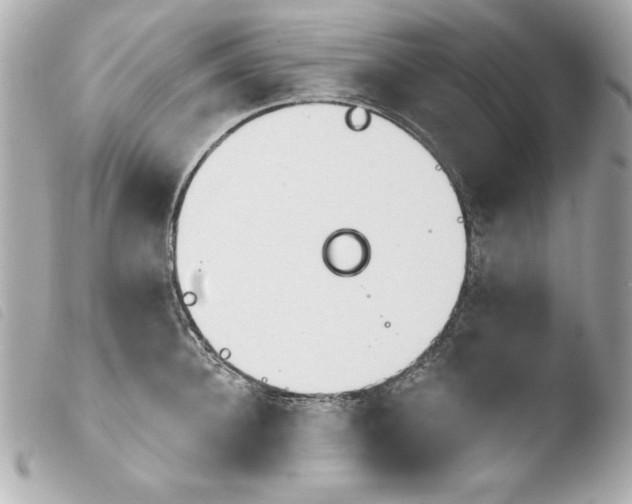 X0000103930948200810031256