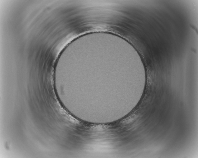 X0000103930950200810031256