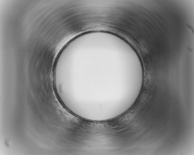 X0000103930951200810031256