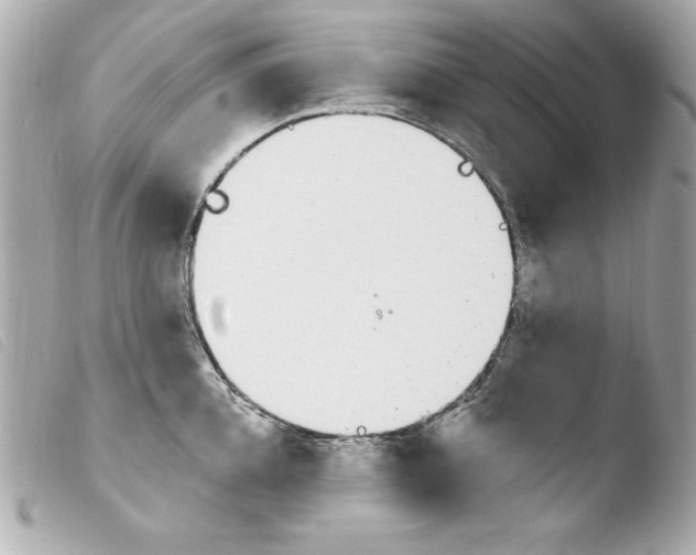 X0000103930952200810031256