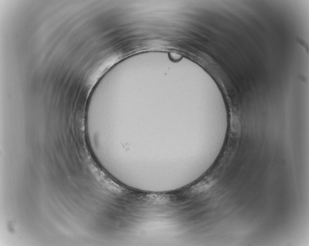 X0000103930954200810031256