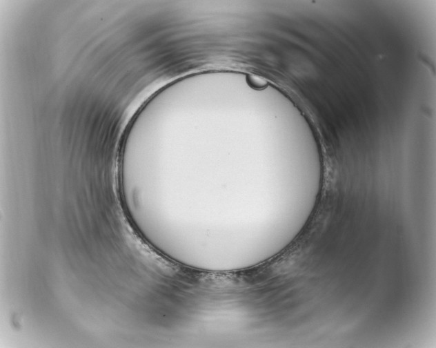 X0000103930955200810031256