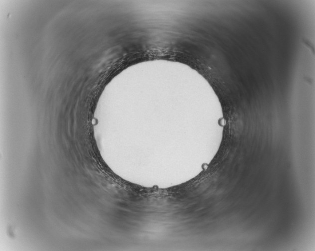 X0000103930961200810031255