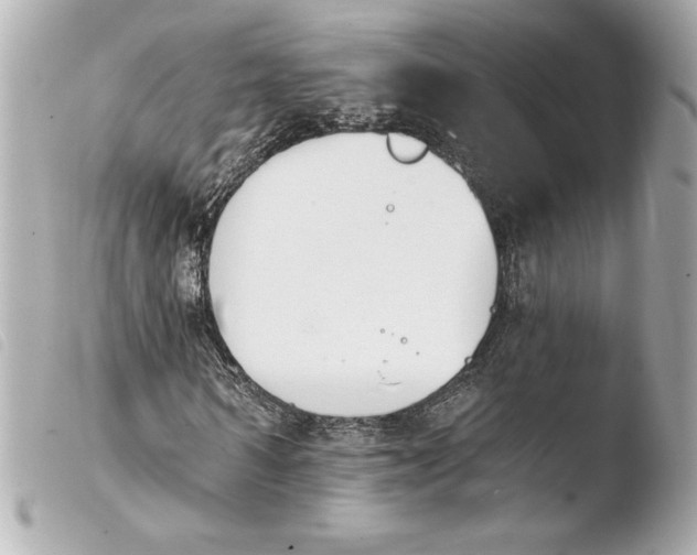 X0000103930962200810031255
