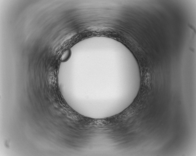 X0000103930966200810031255