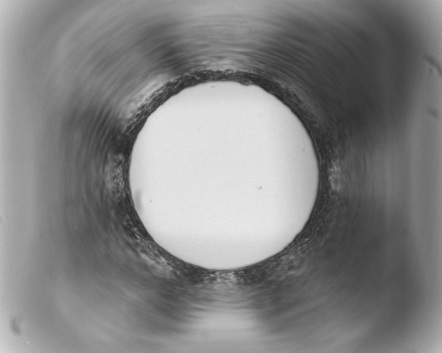 X0000103930968200810031255