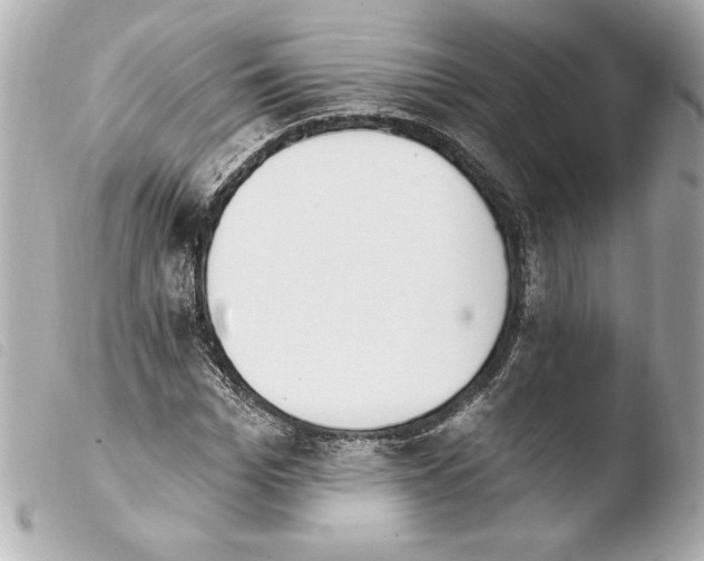 X0000103930969200810031255