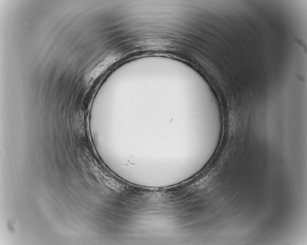 X0000103930970200810031255