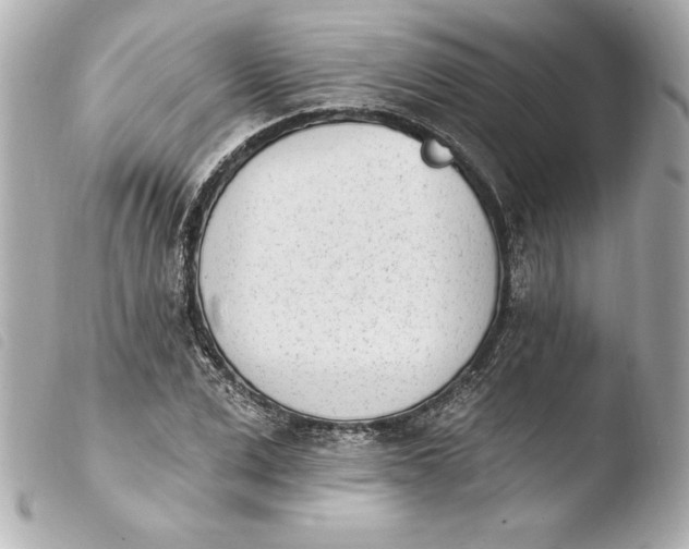 X0000103930975200810031255