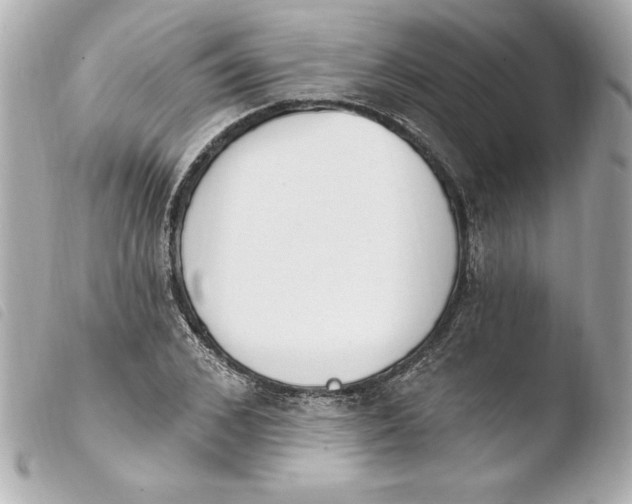 X0000103930976200810031255