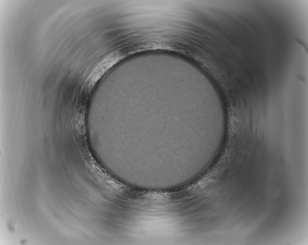 X0000103930977200810031255