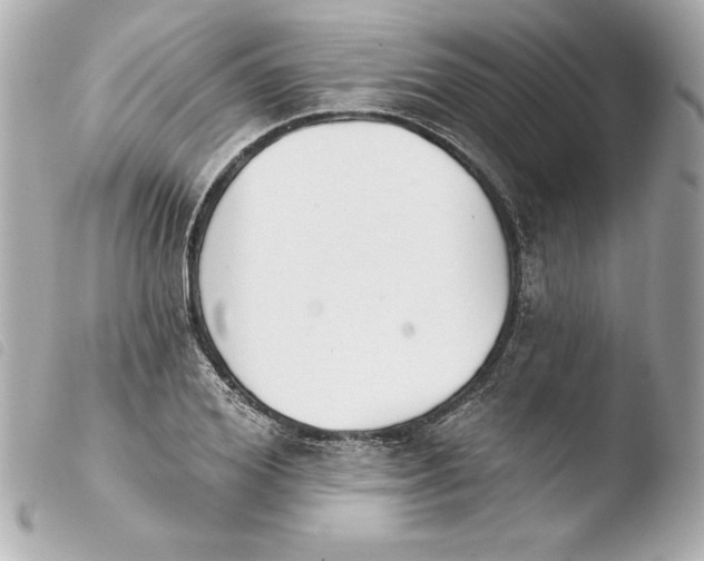 X0000103930980200810031255