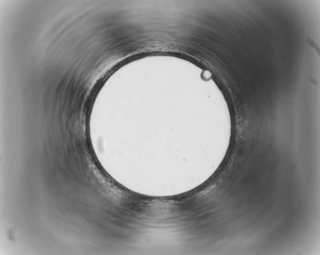X0000103930981200810031255