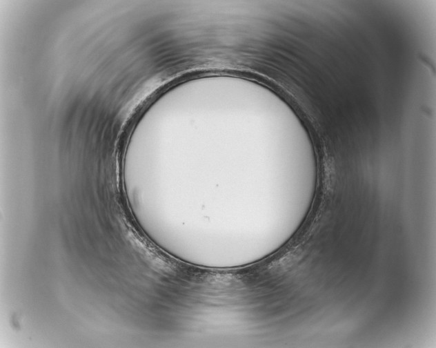 X0000103930982200810031255